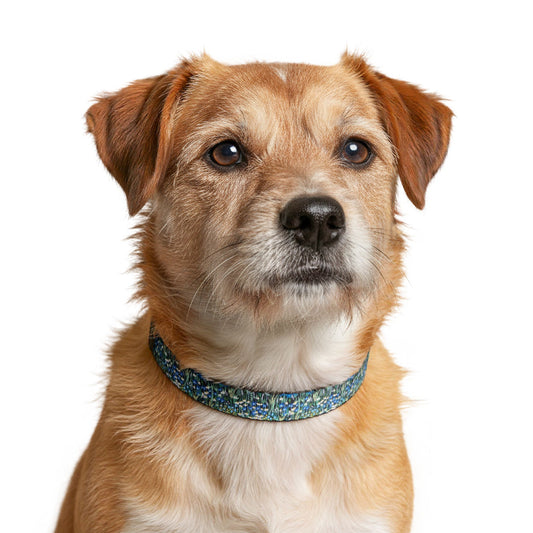 Clip-On Dog Collar — Blue hour bloom Adjustable Pet Collar with Quick-Release Buckle