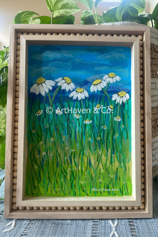 Peaceful Daisies