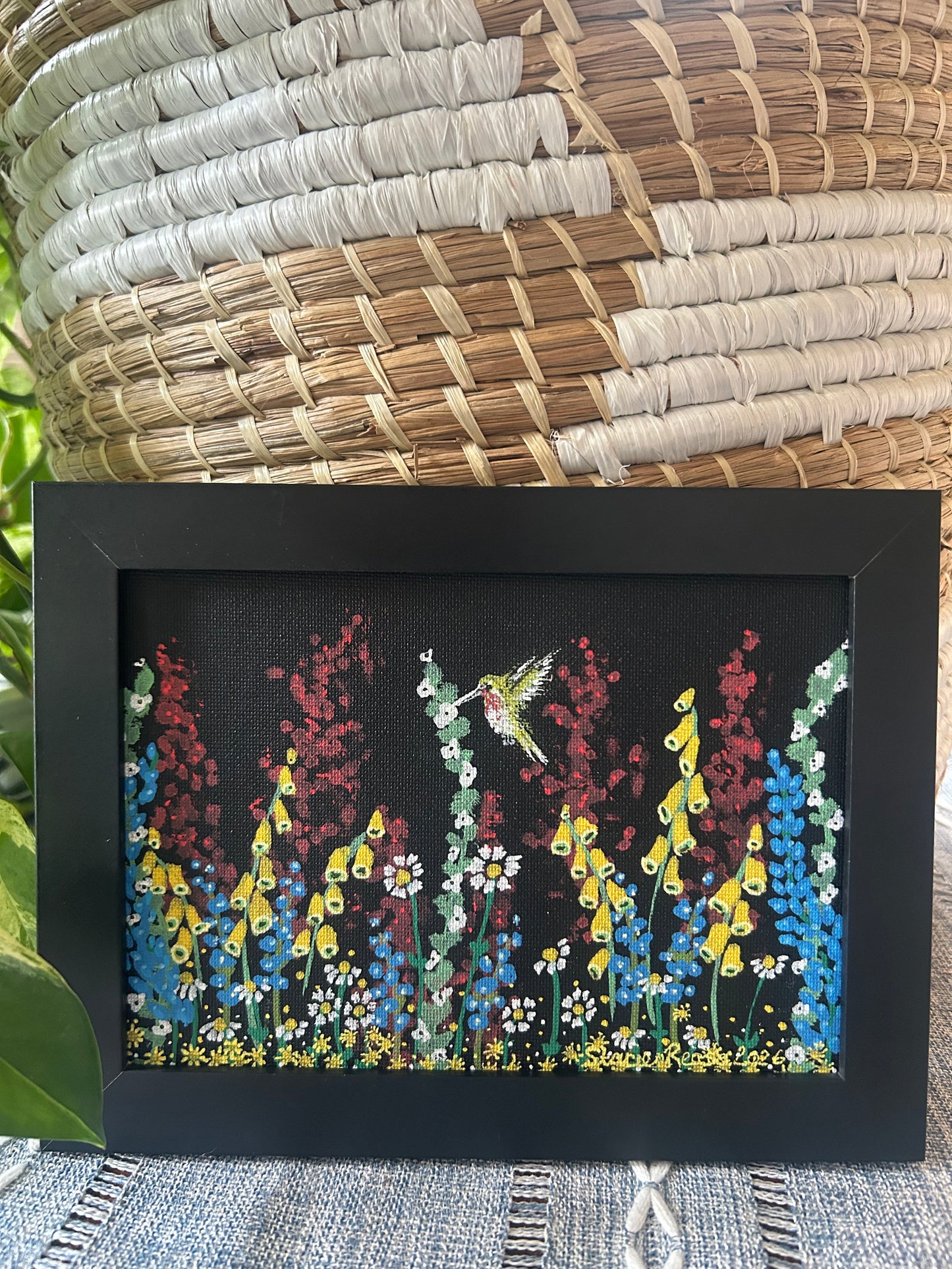 Hummingbird Haven