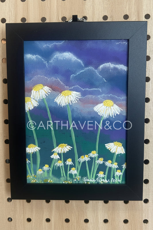 Skyfield Daisies