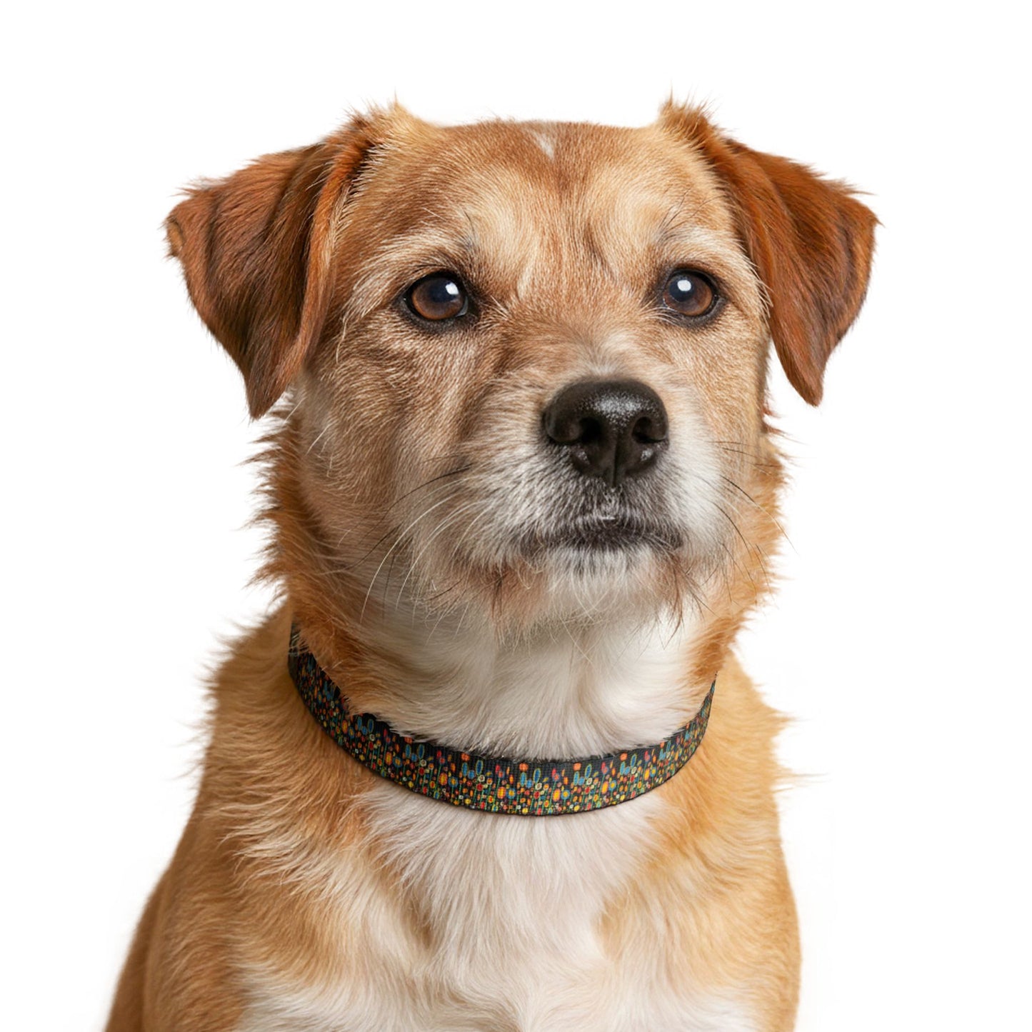 Colorful Mosaic Clip-On Pet Collar — Adjustable Dog Collar with Geometric Pattern