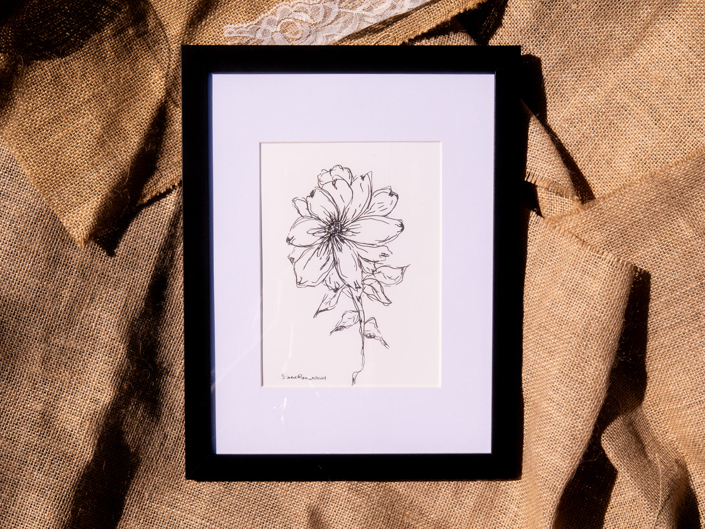 Petal Quietude
