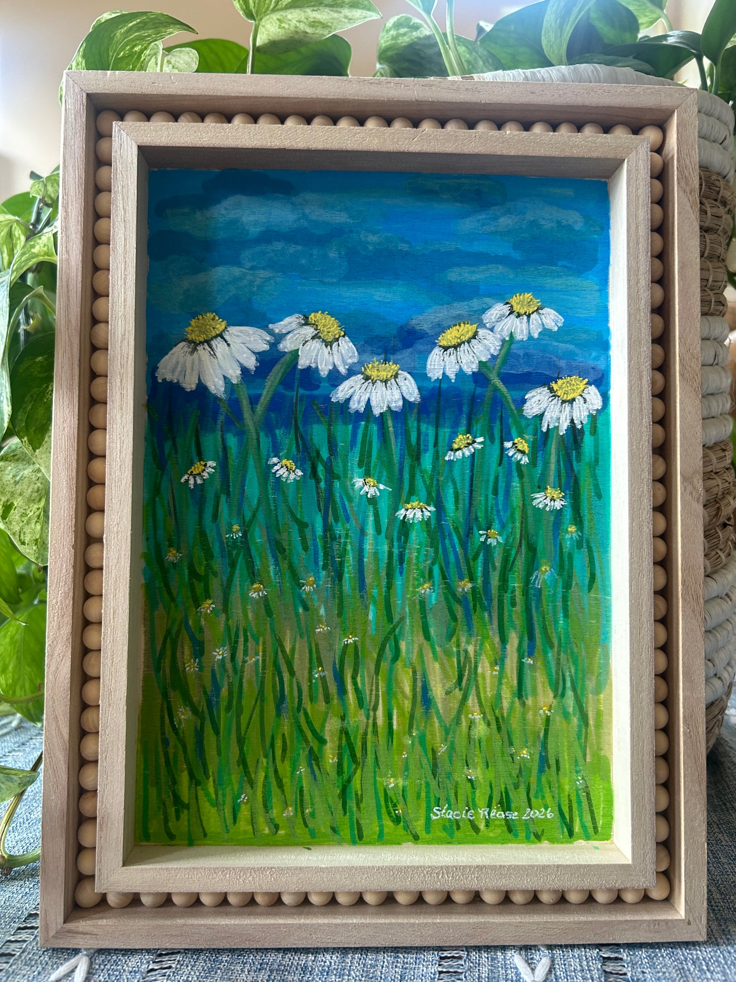 Peaceful Daisies
