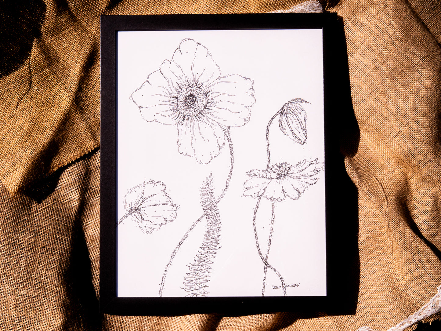 Poppy & Fern