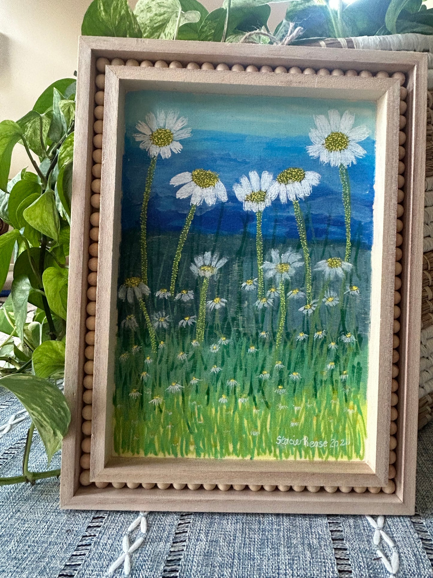 Joyful Daisies