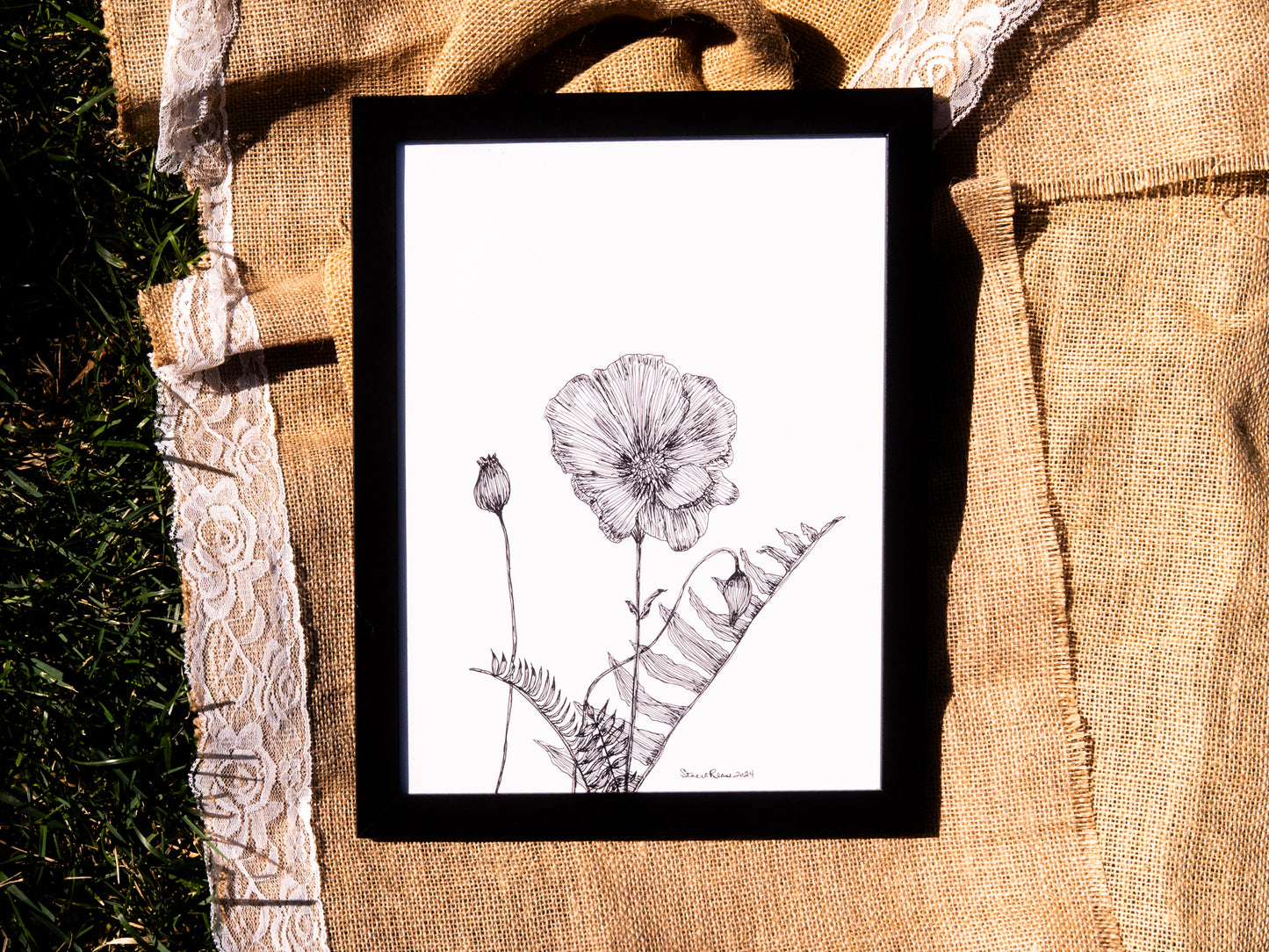 Poppy & Fern II